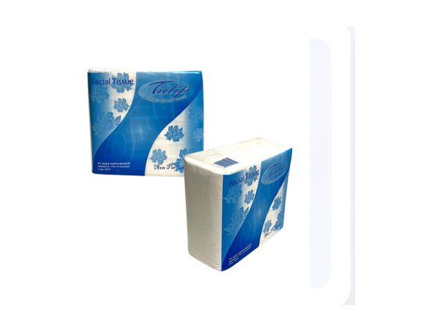 Tulip Facial 600 gram